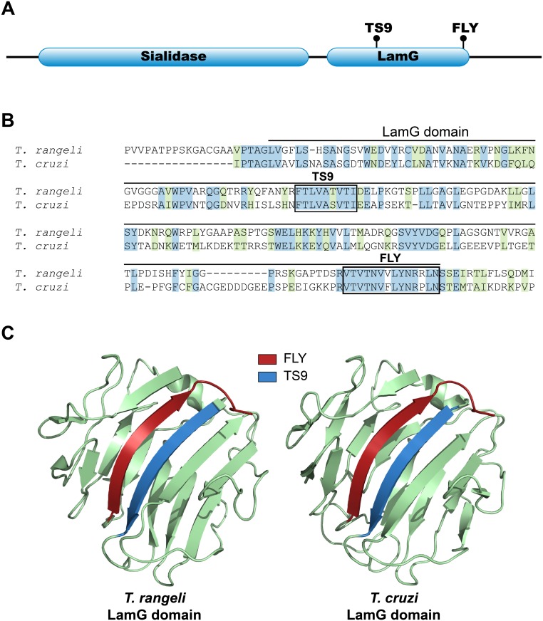 Fig 4