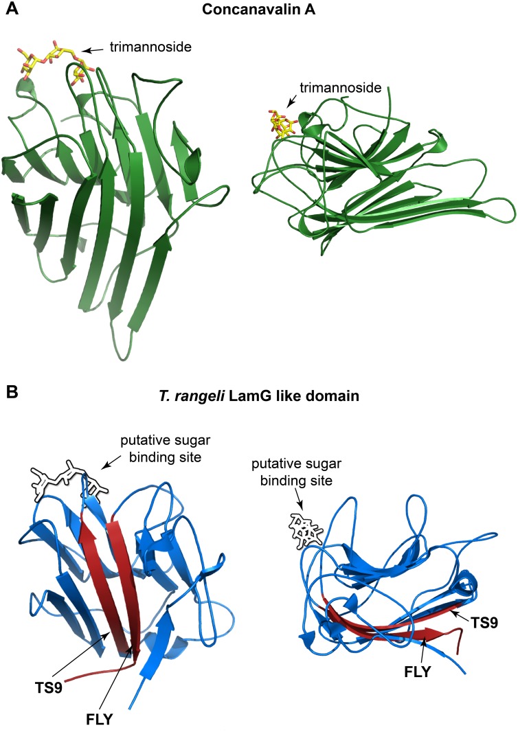 Fig 7