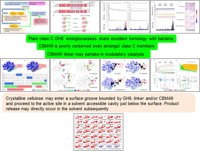 Graphical Abstract