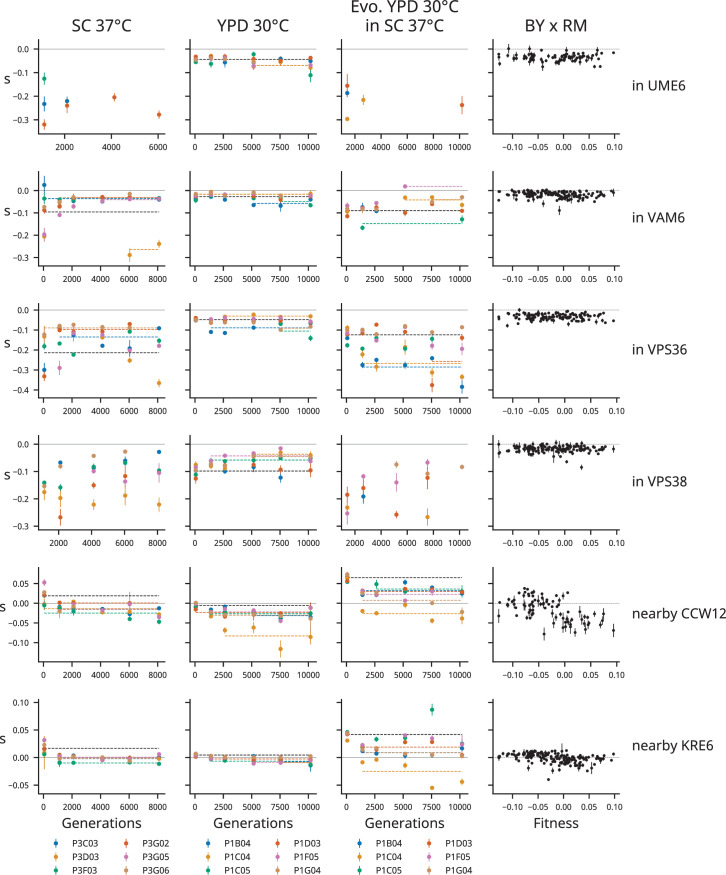 Figure 3—figure supplement 17.