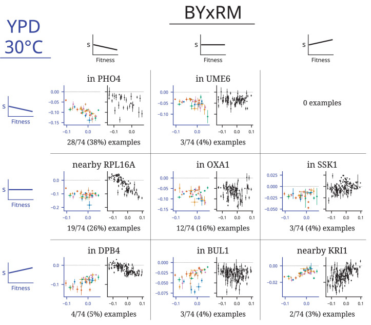 Figure 2—figure supplement 1.