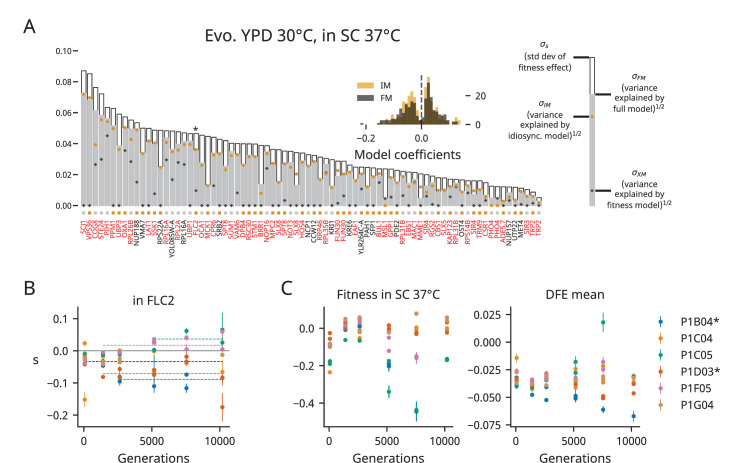 Figure 4—figure supplement 1.