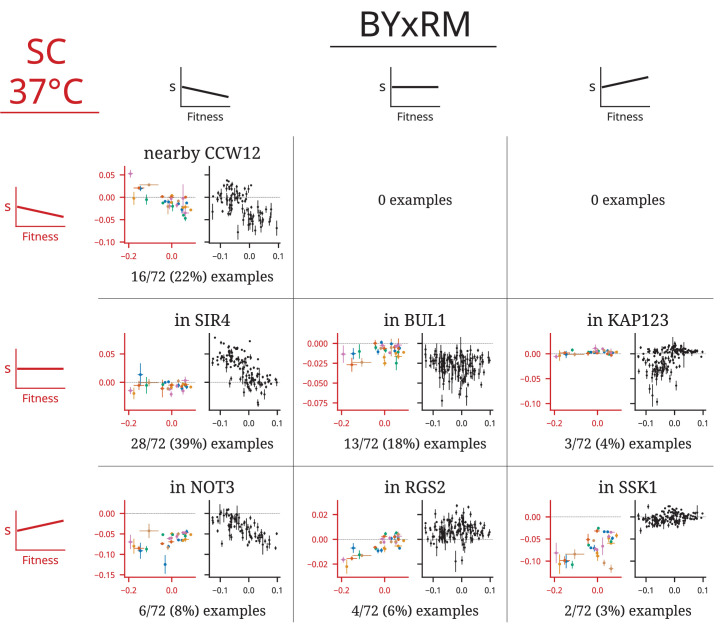 Figure 2—figure supplement 2.