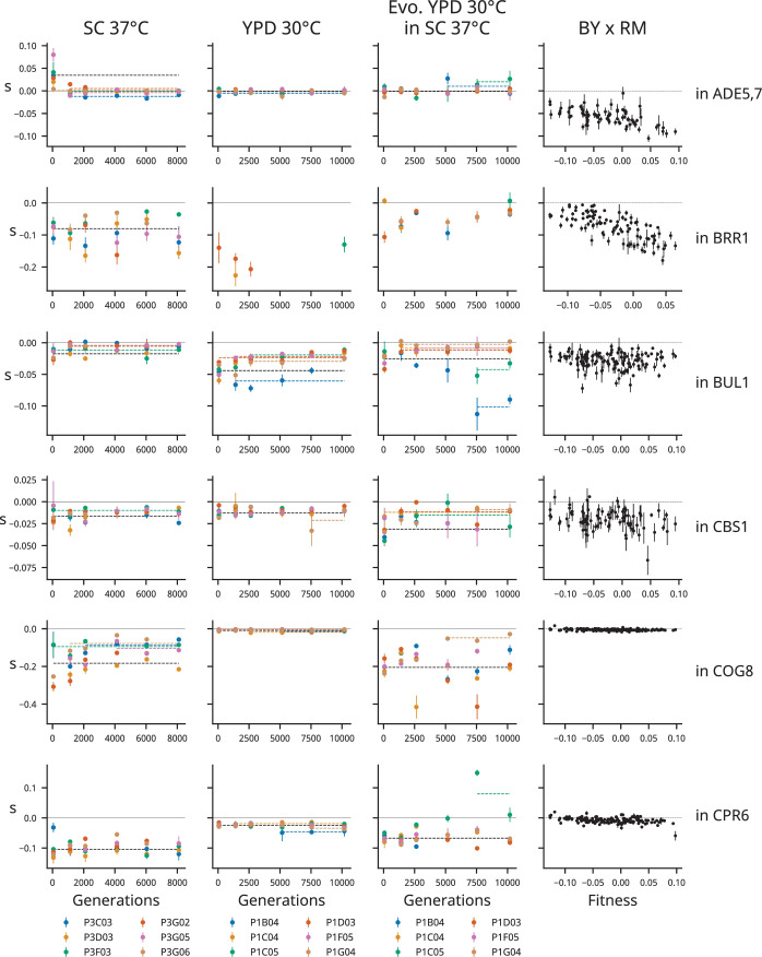 Figure 3—figure supplement 6.