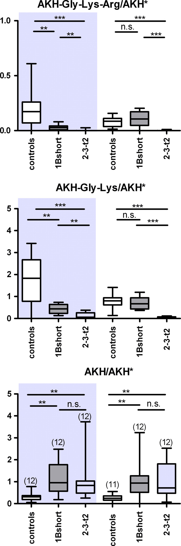 Fig. 8