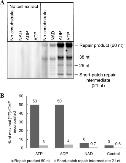 FIG. 8.