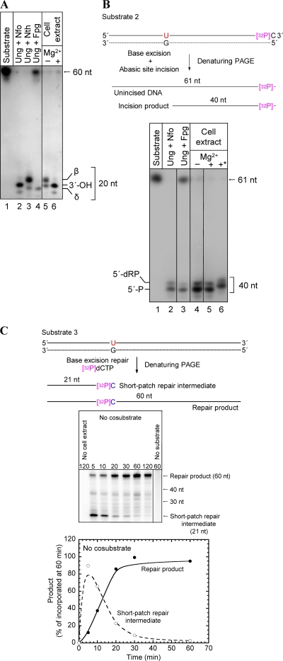 FIG. 7.