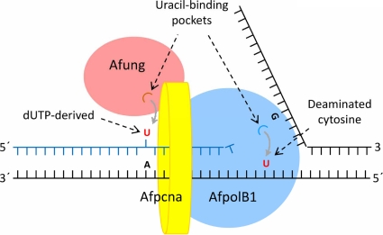 FIG. 9.