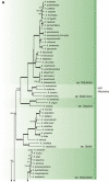 Fig. 16