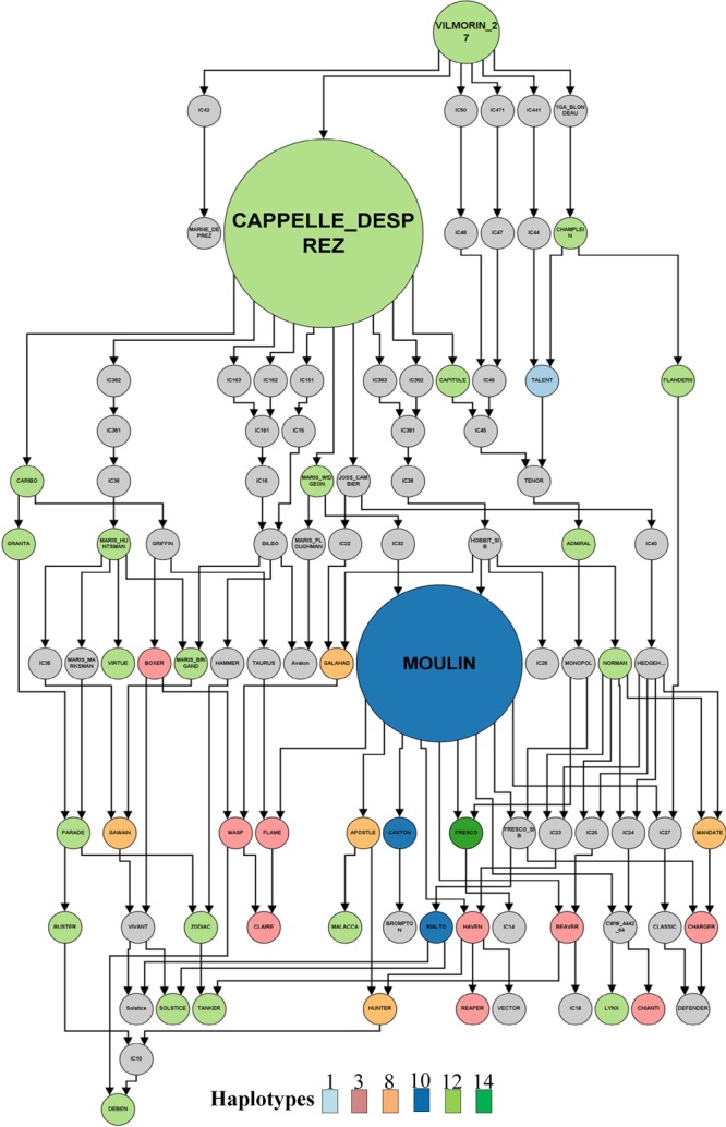 FIGURE 5