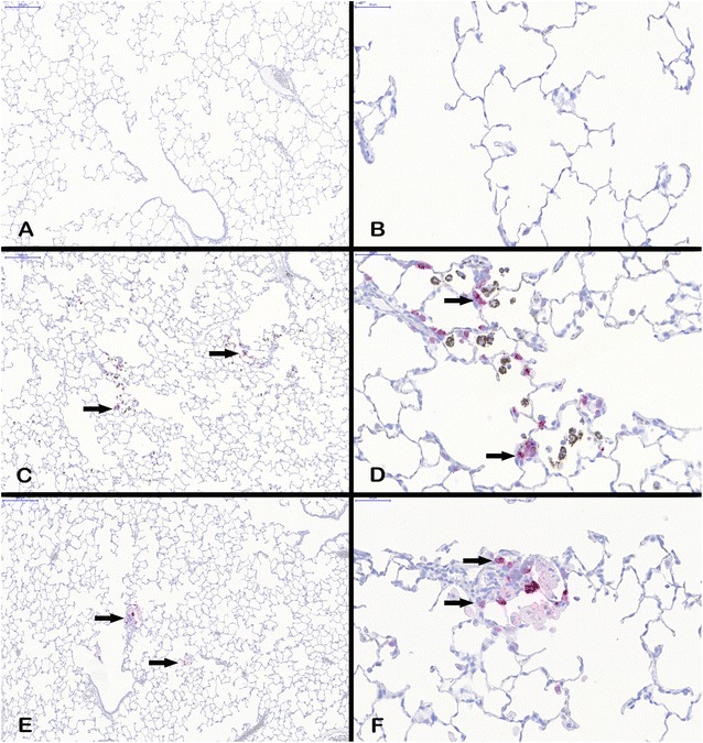 Fig. 7