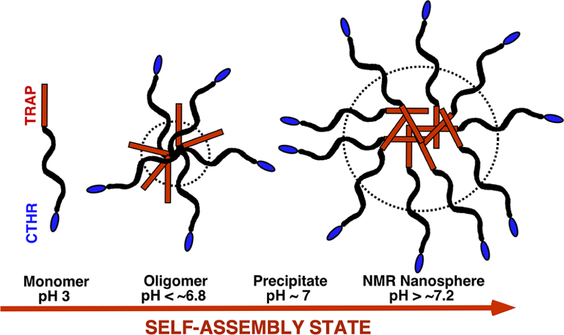 Figure 9.