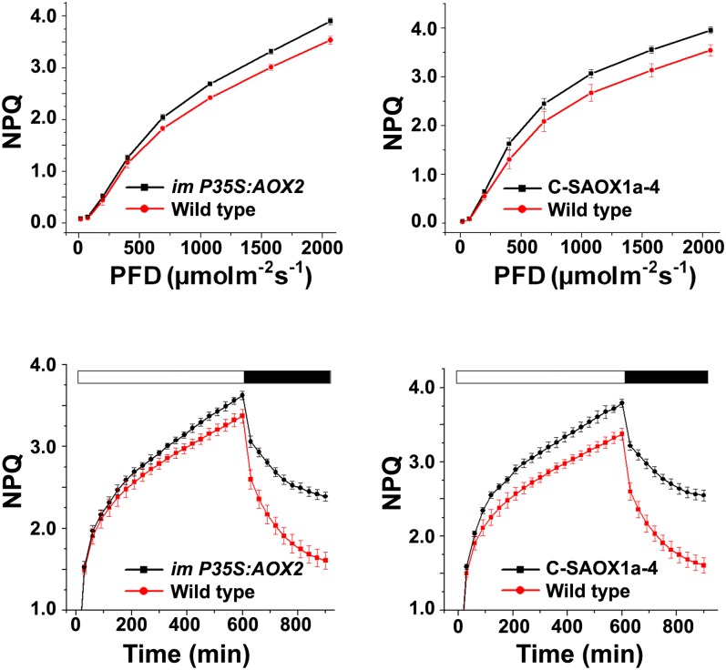 Figure 11.