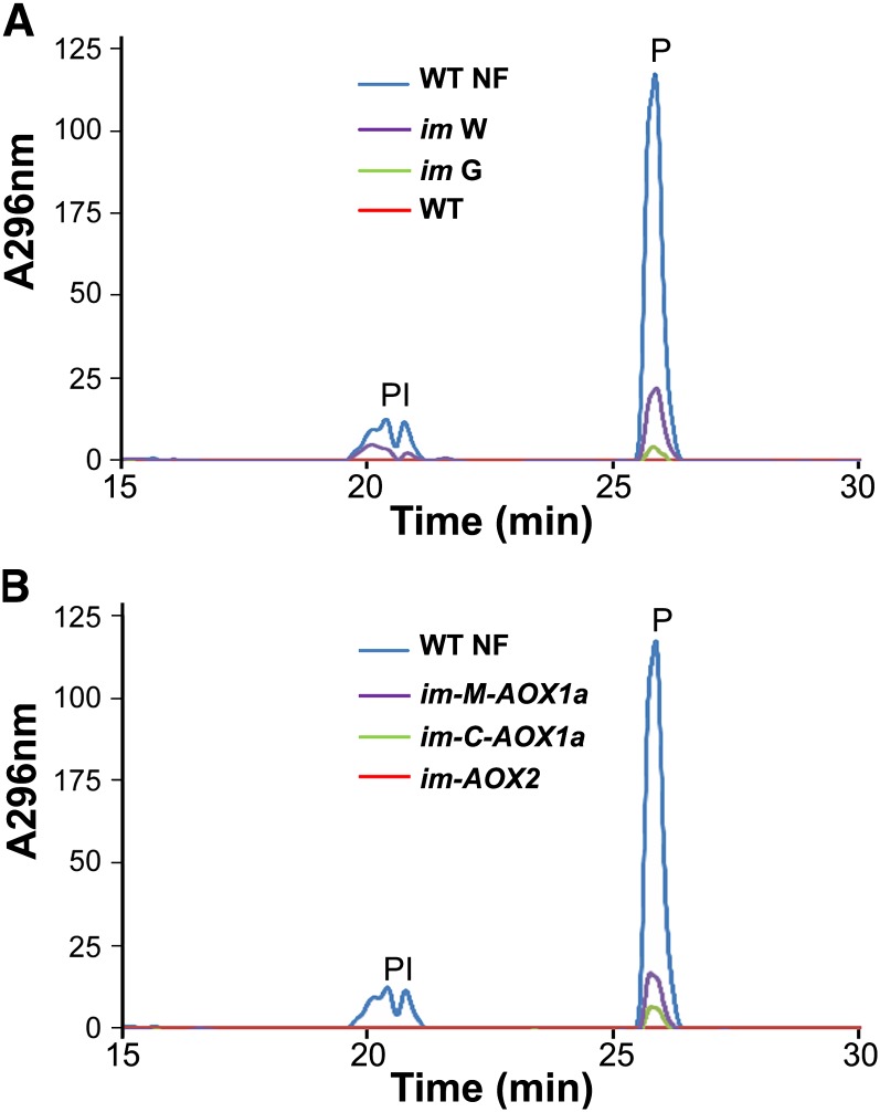 Figure 9.