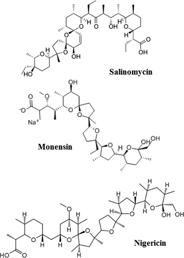 FIG 1