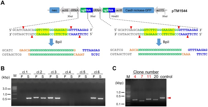 Fig 3