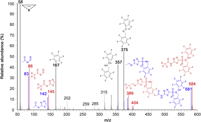 Fig. 1