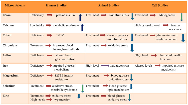 graphic file with name nutrients-12-01864-i001.jpg