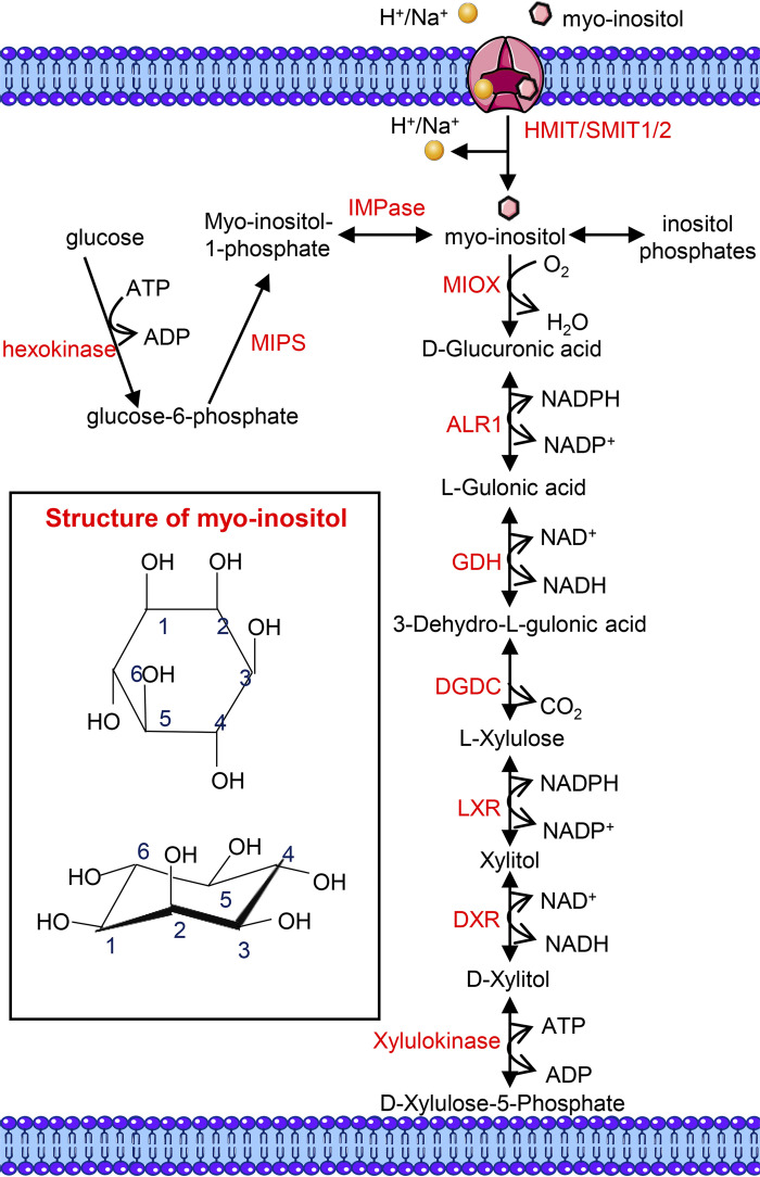 Figure 5.