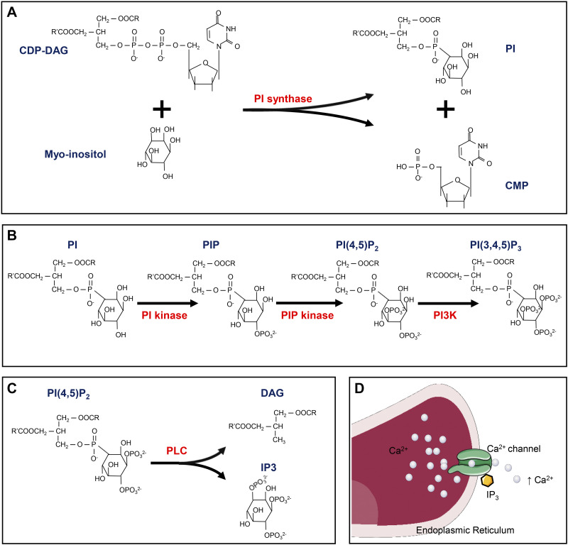 Figure 6.