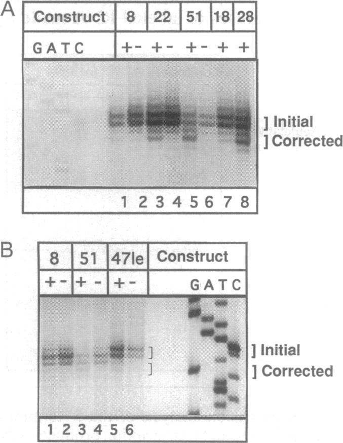 graphic file with name pnas01140-0292-a.jpg