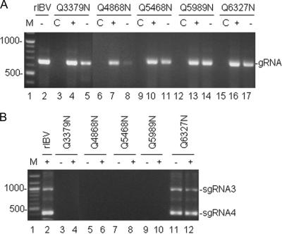 FIG. 4.