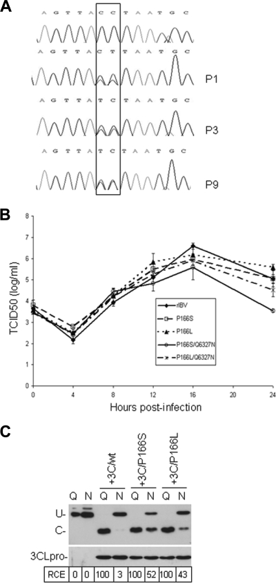 FIG. 6.