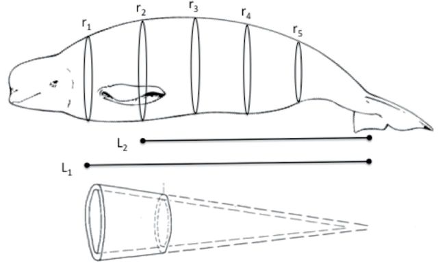 Fig. 5.