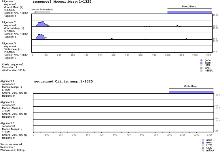 Figure 1—figure supplement 1.