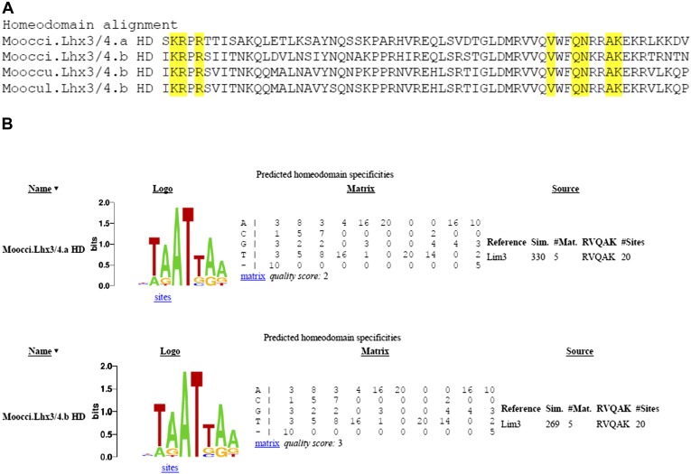 Figure 4—figure supplement 3.