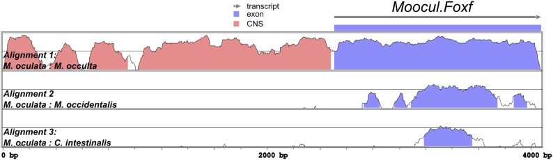 Figure 6—figure supplement 1.