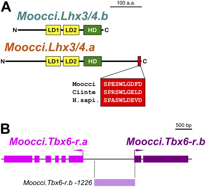 Figure 4—figure supplement 2.