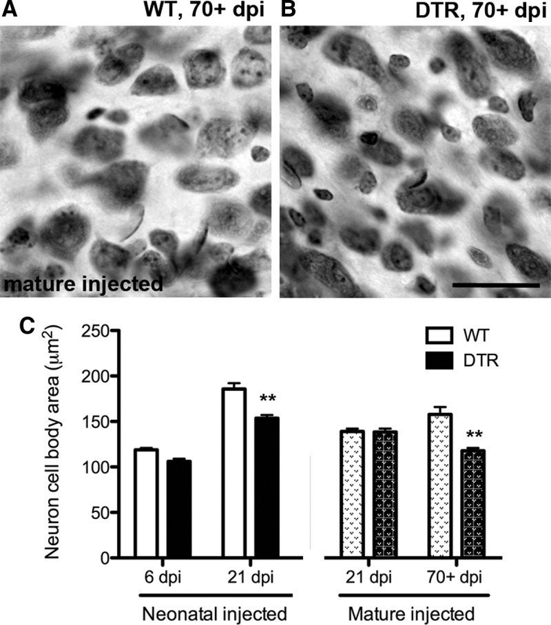 Figure 12.