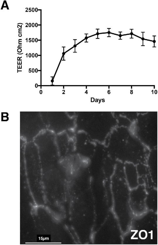 FIGURE 1: