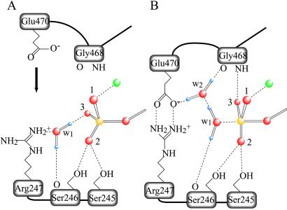 Fig 5.