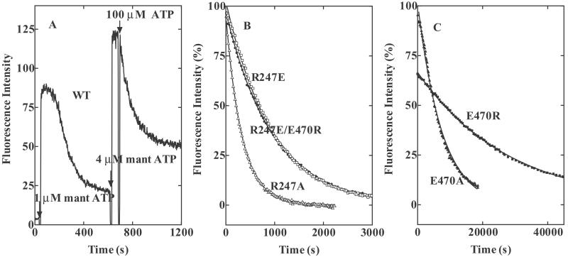 Fig 4.