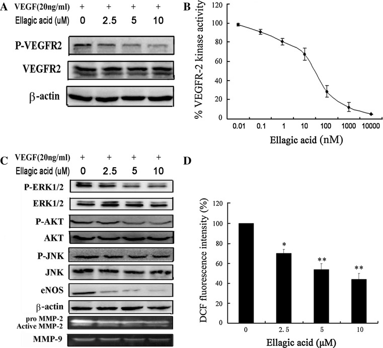 Fig. 4