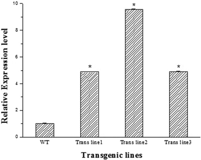 Figure 9