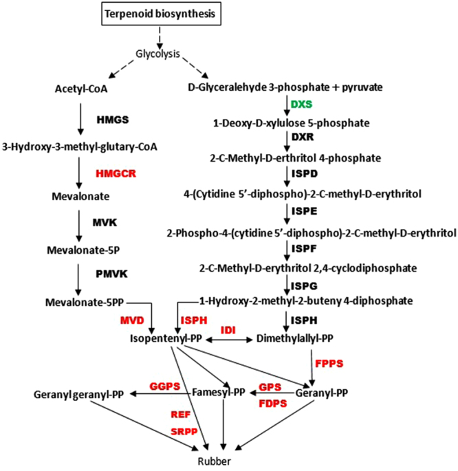 Figure 7