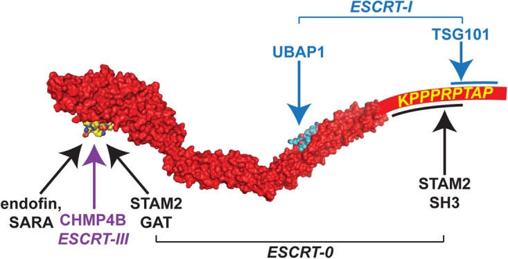 Figure 4.