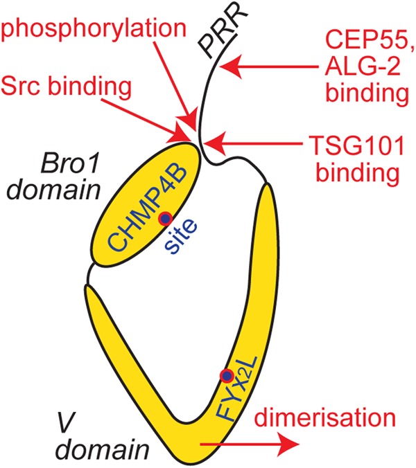 Figure 3.