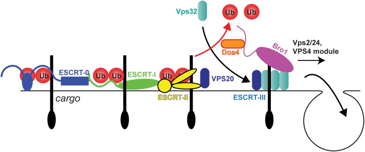 Figure 2.