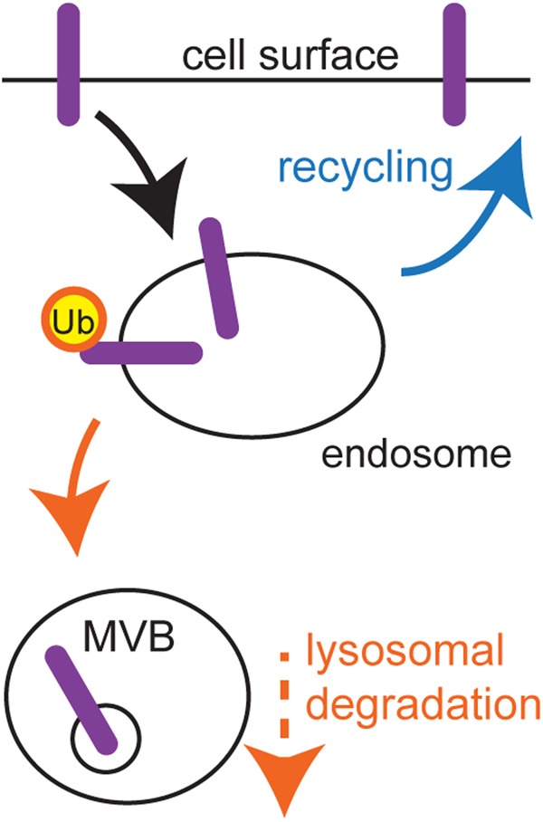 Figure 1.