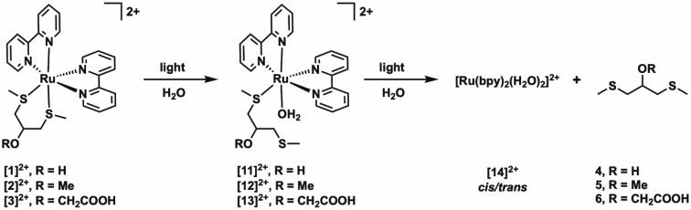 Scheme 4