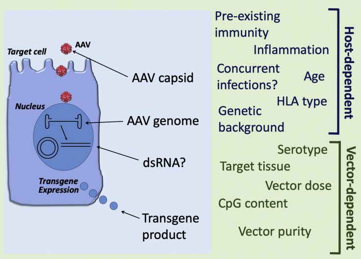 Figure 2