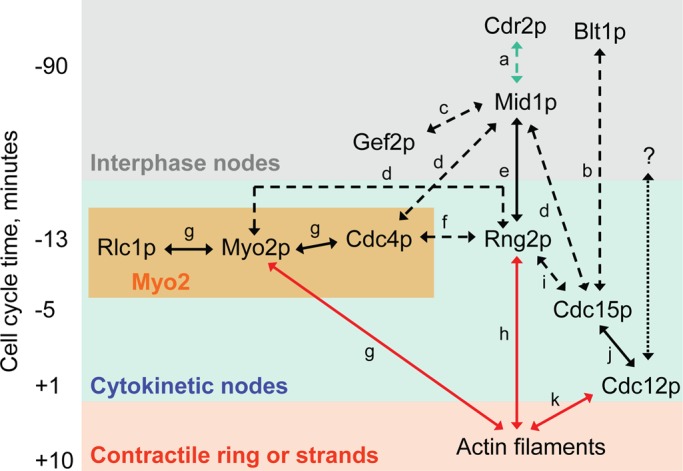 FIGURE 8: