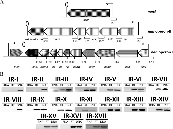 FIG 1