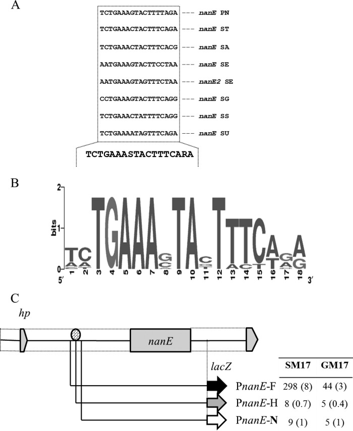 FIG 3