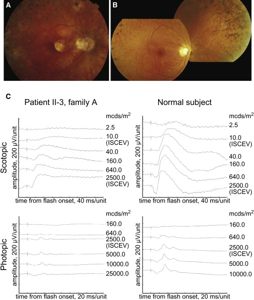 Figure 4