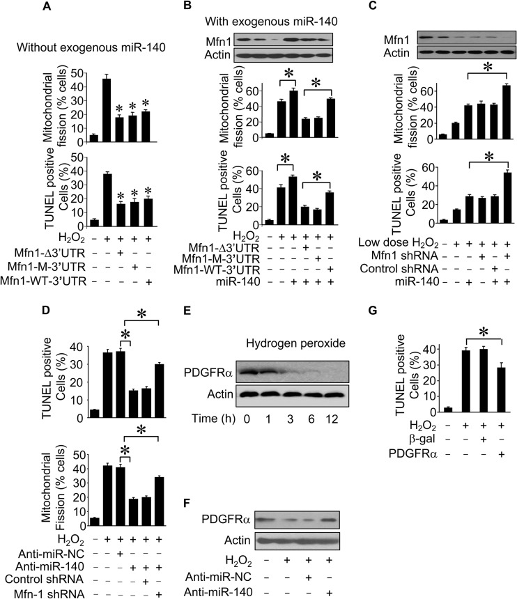 FIG 6